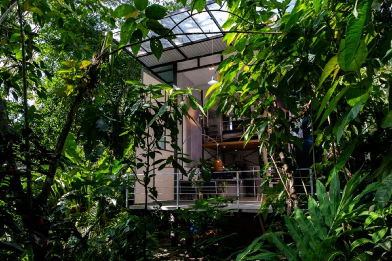 Perezoso Villa. Jurassic Park Loft In The Jungle Puerto Viejo de Talamanca 外观 照片