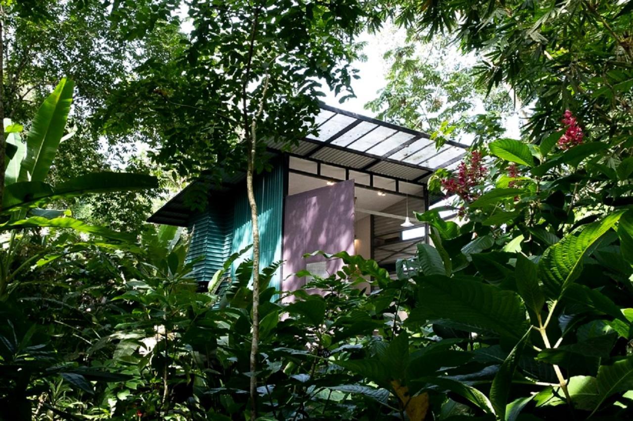 Perezoso Villa. Jurassic Park Loft In The Jungle Puerto Viejo de Talamanca 外观 照片