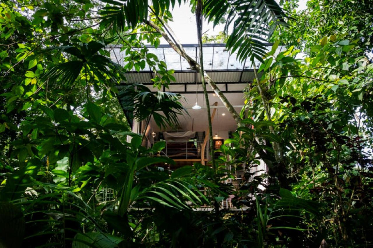 Perezoso Villa. Jurassic Park Loft In The Jungle Puerto Viejo de Talamanca 外观 照片